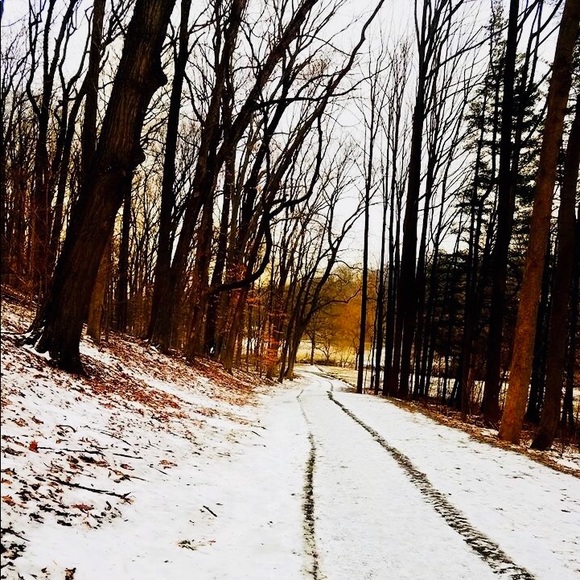 Meet your Posher, Ana - Picture 1 of 1